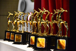 فراز و فرودهای مهمترین رویداد صنعت بازی کشور