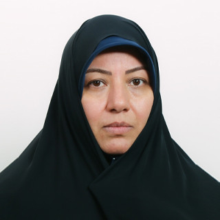 دبیر هیأت رسیدگی به موسسات فرهنگی تک منظوره